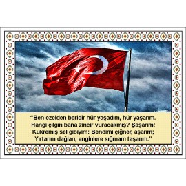 Türk Bayrağı Halı Portresi 50 x 70 cm. No:3